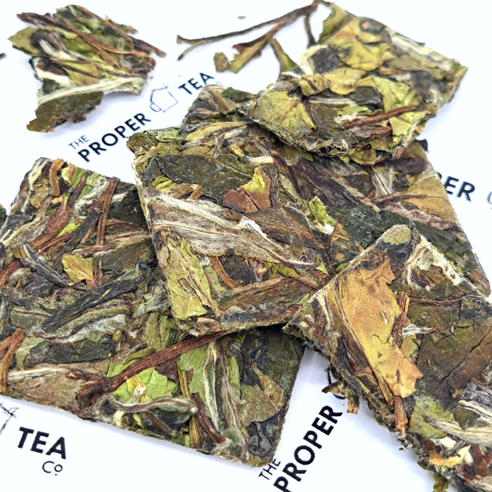 Shou Mei (Longevity Eyebrow) - White Tea Squares
